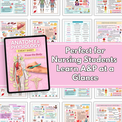 Human Anatomy and Physiology Study Notes, Nursing A&P Reference Book, Educational Resource for Medical Students