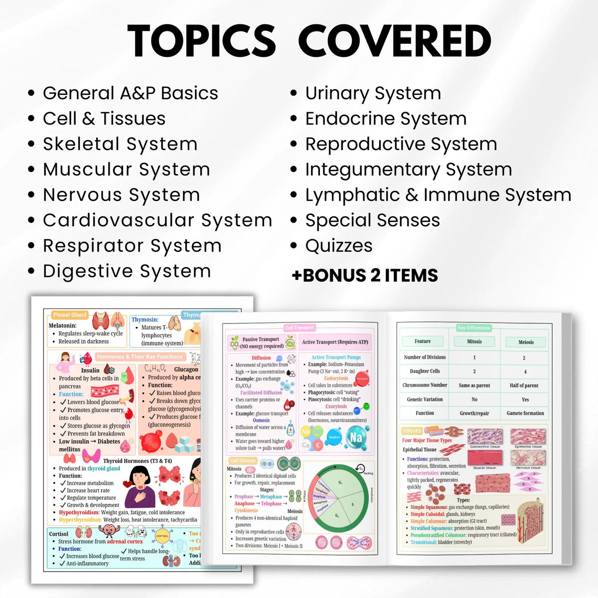 Human Anatomy and Physiology Study Notes, Nursing A&P Reference Book, Educational Resource for Medical Students