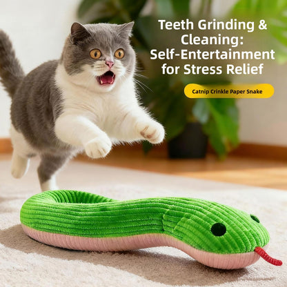 Simulation Snake Cat
